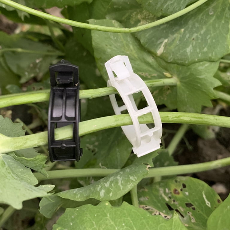 Jojofuny 100Pcs Weather Resistant Plant Clamps Bending Clips for Outdoor Cultivation, Size: Medium, Black