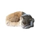 thumbnail image 1 of Simulación De Gato Modelo De Animal Juguete Para Gatos Manualidades Decoración Para El Hogar Accesorios Para Fotografía, 1 of 4