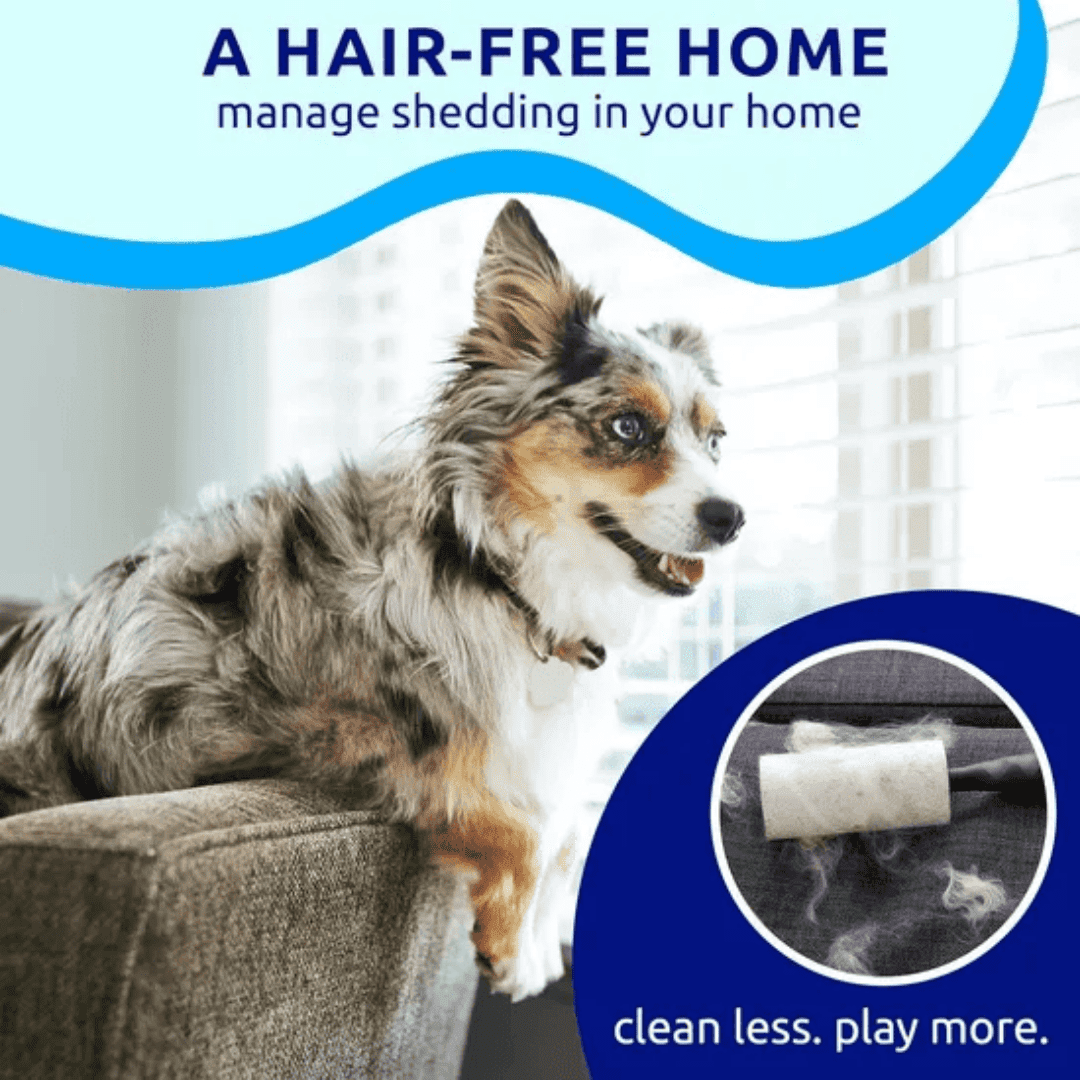 Dual-Sided Pet Grooming Brush, 9/17 Teeth Dematting Deshedding Comb, Rounded Safe Teeth with Non-Slip Handle, Grooming Tool for Dogs, Cats and Horses