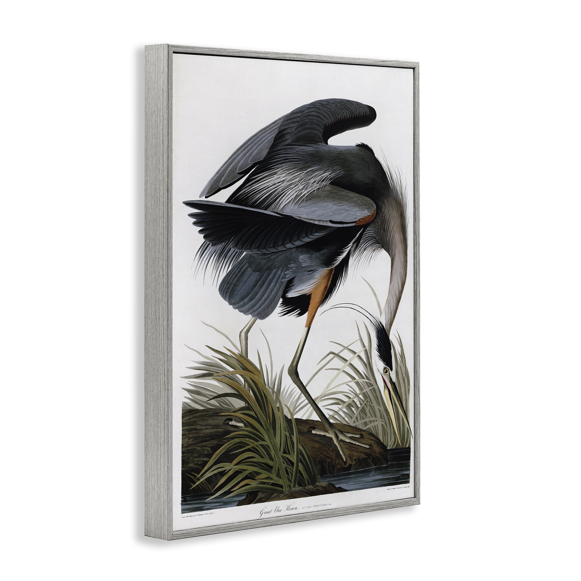 Stupell Industries Classic Heron at Lake Animals & Insects Painting Gray Framed Art Print Wall Art, 16 x 24