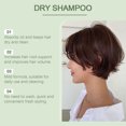 Dry ShampooDry Shampoo Spray for Women Formulated to Absorb Oil
