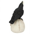 thumbnail image 2 of All Seeing Harbinger Of Doom Raven, 2 of 5