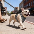 thumbnail image 3 of PayUSD Dog Harness with Leash Cat Harness No Pull Adjustable No Choke Pet Vest for Small Dogs Cats, 3 of 9