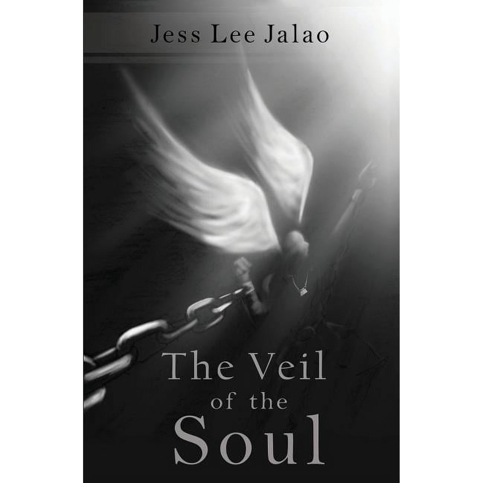 The Veil of the Soul (Paperback)