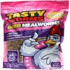 Tasty Worms Dried Mealworms - GMO FREE Chickens, Bluebirds, Gliders & More! Bag size 1lb Resealable Pouch