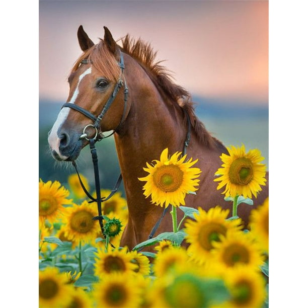 Sunflower diamonds best sale