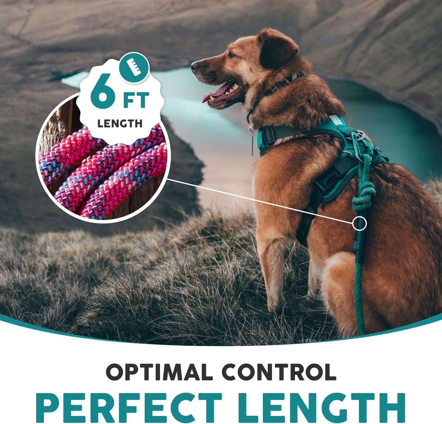 Embark Adventure Pro Leash with Mountain Climbing Rope and Carabiner. Unmatched Strength & Durability, 6ft, Colourful, and Sturdy Nylon Dog leashe for Small, Medium, Large Breed Dogs