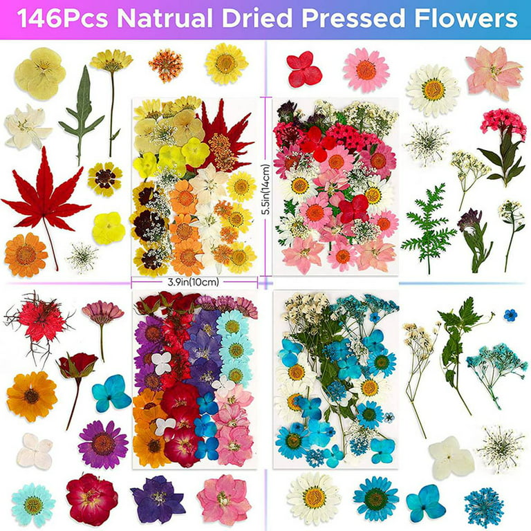 120 PCS Dried Pressed Flowers for Resin Natural Dried Flowers Leaves  Pressed