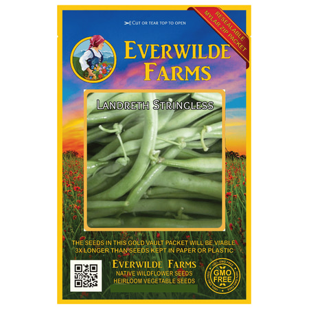 Everwilde Farms - 120 Landreth Stringless Green Bush Bean Seeds - Gold Vault Jumbo Bulk Seed (Best Tasting Stringless Pole Beans)