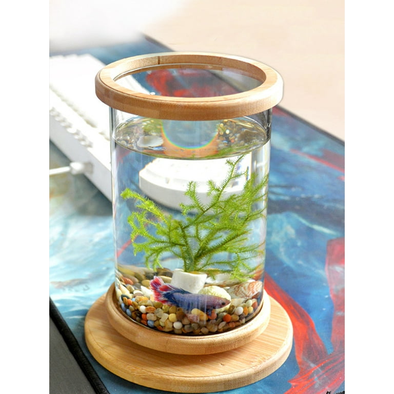 Nuolin Desktop ecological bottle creative office tempered glass micro-view  tank rotating bedroom fish tank fighting fish tank mini small 