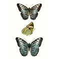 thumbnail image 2 of Vision Studio  23x32 Gold Ornate Wood Framed with Double Matting Museum Art Print Titled - Butterfly Specimen I, 2 of 4
