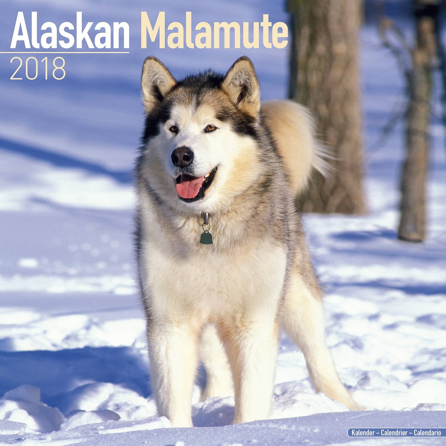 Alaskan Malamute Calendar 2018 Dog Breed Calendar Wall Calendar