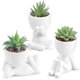 thumbnail image 1 of Set de plantas suculentas artificiales de 3 piezas con macetas para decoración del hogar, 1 of 6