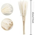 thumbnail image 5 of Paquete seco natural de hierba de pampa seca para decoración del hogar 60 piezas blanco-blanco- oso de fresa Electrónica, 5 of 5