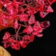 thumbnail image 5 of Feng Shui Crystal Tree Adornos para Hogar rojo Zulema Decoración de la habitación del hogar, 5 of 8
