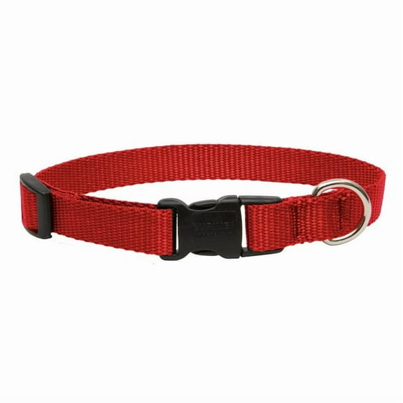 LupinePet Basics 3/4" Red 9-14" Adjustable Collar for Small Dogs