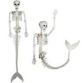 thumbnail image 3 of relayinert Size Skeleton Premium Halloween Decor With Posable Joints Multiple 1Set, 3 of 6