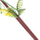 thumbnail image 5 of Palmera de Artificial de Plástico Modelo de árbol Modelo Arena Apoyo 15 Cm CUTICAT Modelo de palmera de coco, 5 of 8