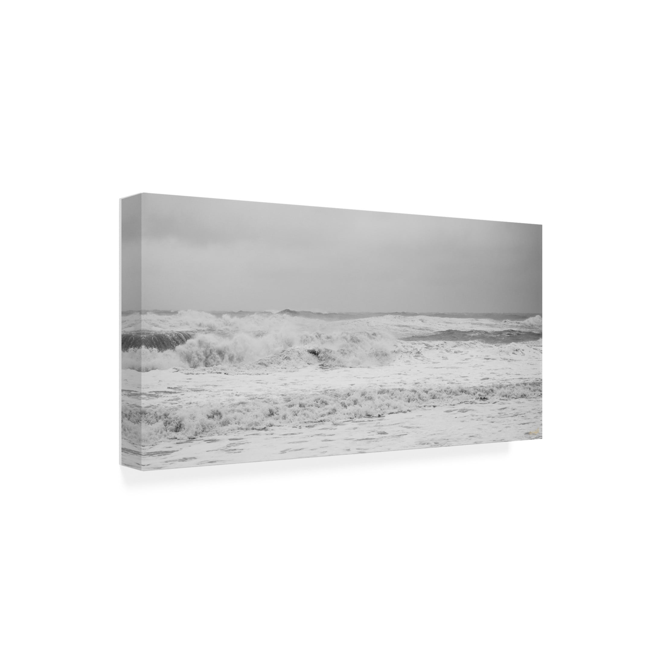 Canvas Wall Art - Life BeautifuLEE 'Vivid Dream Waves 4' Wall Art for Living Room, Bedroom, or Office Décor by Trademark Fine Art - 19 x 10 Inches