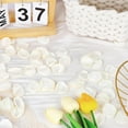 thumbnail image 5 of LQQBOX 300 Pcs Silk Rose Petals Flower Petals for Weddings White Petals Fake Rose Petals Artificial Flower Petals for Wedding Proposal Flower Girl Basket Aisle Runner Bridal Shower, 5 of 7