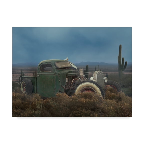 Trademark Fine Art 'Ford' Canvas Art by Lori Hutchison