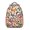 Rose-gold-2, variant on Retro Rainbow Butterfly School Bag - Lightweight, Durable, Waterproof Exterior, Romantic Butterfly Theme for Daily Use