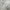 Gray, variant on SUSUZI 5 x 7 ft Shaggy Area Rugs for Bedroom Living Room Modern Large Fluffy Floor Rugs Plush Soft Carpet Rugs Home Décor, Charcoal Gray