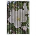 thumbnail image 1 of ABPHQTO Flor de pera en el árbol Cortina de ducha preciosa Cortina de ducha impermeable 120x180 cm, 1 of 2