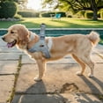 thumbnail image 3 of Pet No Pull Dog Harness with Breathable Mesh Padded, Adjustable Reflective Escape Proof Dog Harness, Quick Fit Dog Vest Harness for Small Medium Large Dogs, 3 of 9
