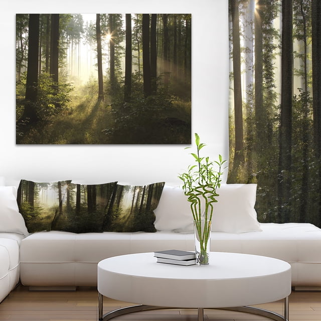 Early Morning Sun in Misty Forest - Landscape Photography Canvas Print