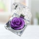 thumbnail image 3 of 1 flor de rosa fresca preservada en cúpula de cristal con decoración de cinta, regalo de rosa para el aniversario del día de San Valentín, cumpleaños (morado pálido), 3 of 4