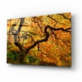 thumbnail image 2 of Epic Art 'Portland Japanese Garden' by Mike Jones, Acrylic Glass Wall Art, 16"x12", 2 of 8