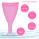 thumbnail image 5 of Copa Menstrual de silicona con válvulas, cepillo de limpieza de descarga, copas lunares, protección de higiene femenina, copa Menstrual, 5 of 8