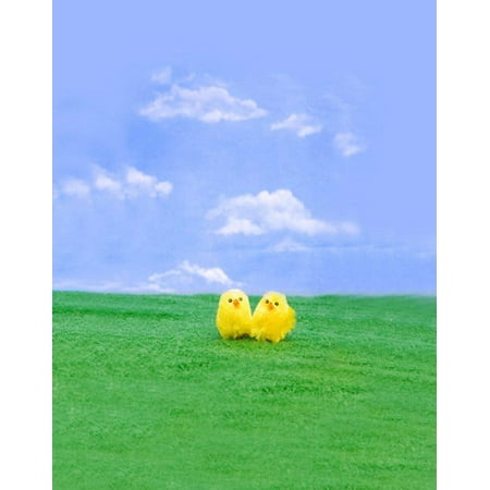 Image of ABPHOTO Polyester Grass Blue Sky Chick Photography Backdrops Photo Props Studio Background 5x7ft