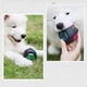 thumbnail image 5 of Pelota de juguete para perros con luz LED y chirriador, pelotas para perros, juguete para perros, pelota de juego para perros, brilla en colores cambiantes, hecha de caucho termoplástico Adepaton 2035135, 5 of 8