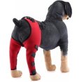 thumbnail image 3 of HSHDLDF Dog Double Hind Leg Brace Support Belt Dog Braces for Back Legs Super Supportive Dog Knee Brace for Torn Acl Hind Leg Help Dogs With Injuries Sprains Arthritis. Red-L, 3 of 7