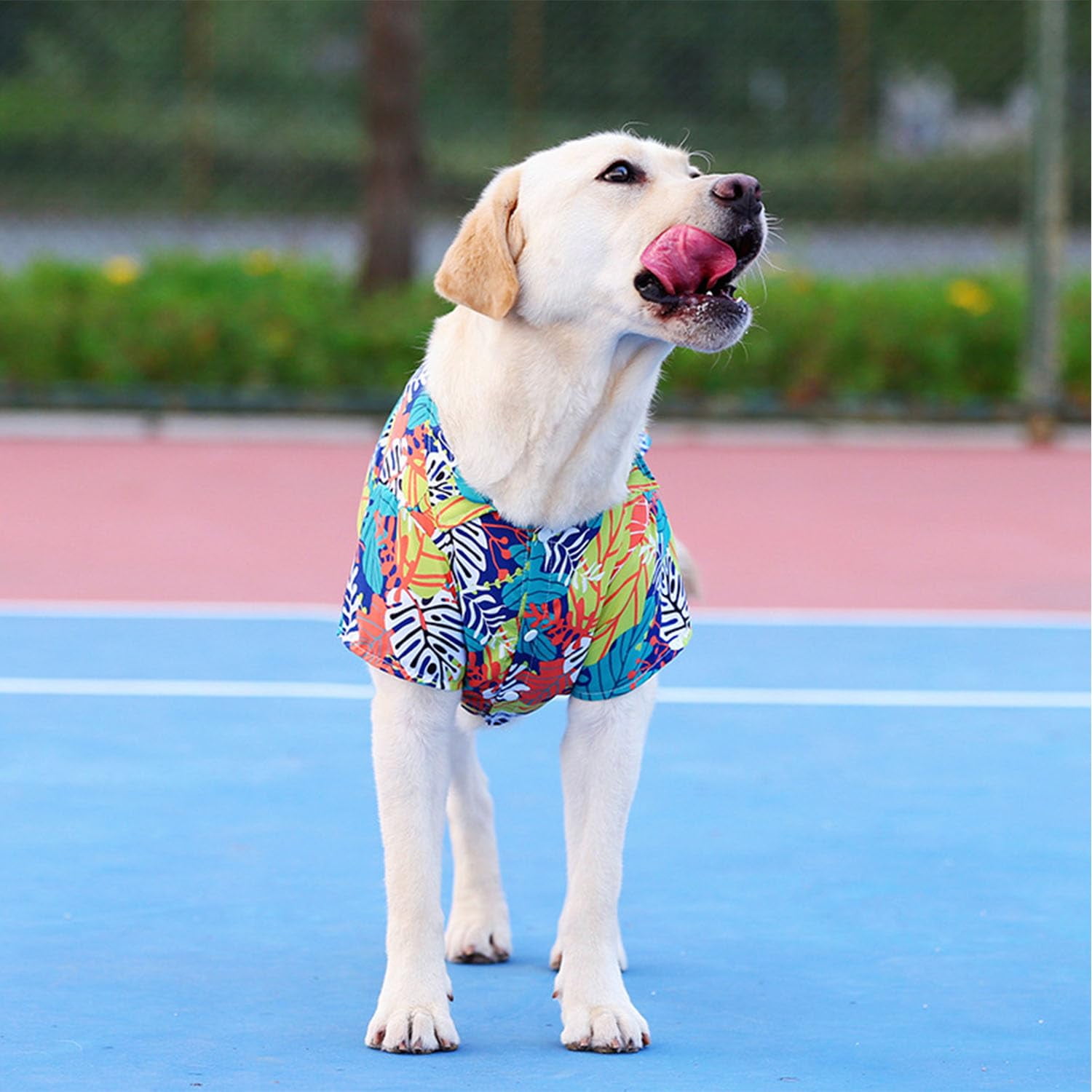Hawaii-Hundeshirt Für Sommer – Buntes Blumenmuster, Größe L (Brust 48 Cm) | Aus Polyester, Für Hunde & Katzen