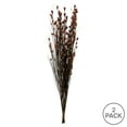 thumbnail image 5 of Vickerman 36-40" Long Stem Bell Grass with Merlot Colored Seed Pods, 2 per pack, Preserved, 5 of 5
