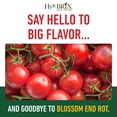thumbnail image 3 of HyR BRIX Tomato Fertilizer 5-8-10, 3 of 7