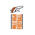 thumbnail image 1 of Denver Broncos Double Up Die Cut Vinyl Stickers, 1 of 1