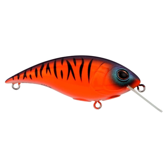Berkley Shallow Money Badger Fishing Crankbait, 2.6 in, Hybrid Baitfish-Crayfish