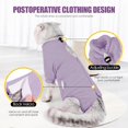 thumbnail image 4 of Changmaius Cat Collar Alternative: Long Sleeve Licking - Protective Recovery Suit for Male & Female Cats After Spay Surgery, Pet Surgical Onesie, 4 of 6