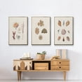 thumbnail image 6 of Knorr Shells & Coral VI - Framed Premium Gallery Wrapped Canvas L Frame 3 Piece Set - Ready to Hang, 6 of 9