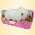 thumbnail image 3 of Jaula para mascotas de hámster Gerbille de doble capa, de arena de esquina, bandeja de arena para inodoro de juguete - eatorio Gloria Rabbit Cage Corner Toilet, 3 of 9