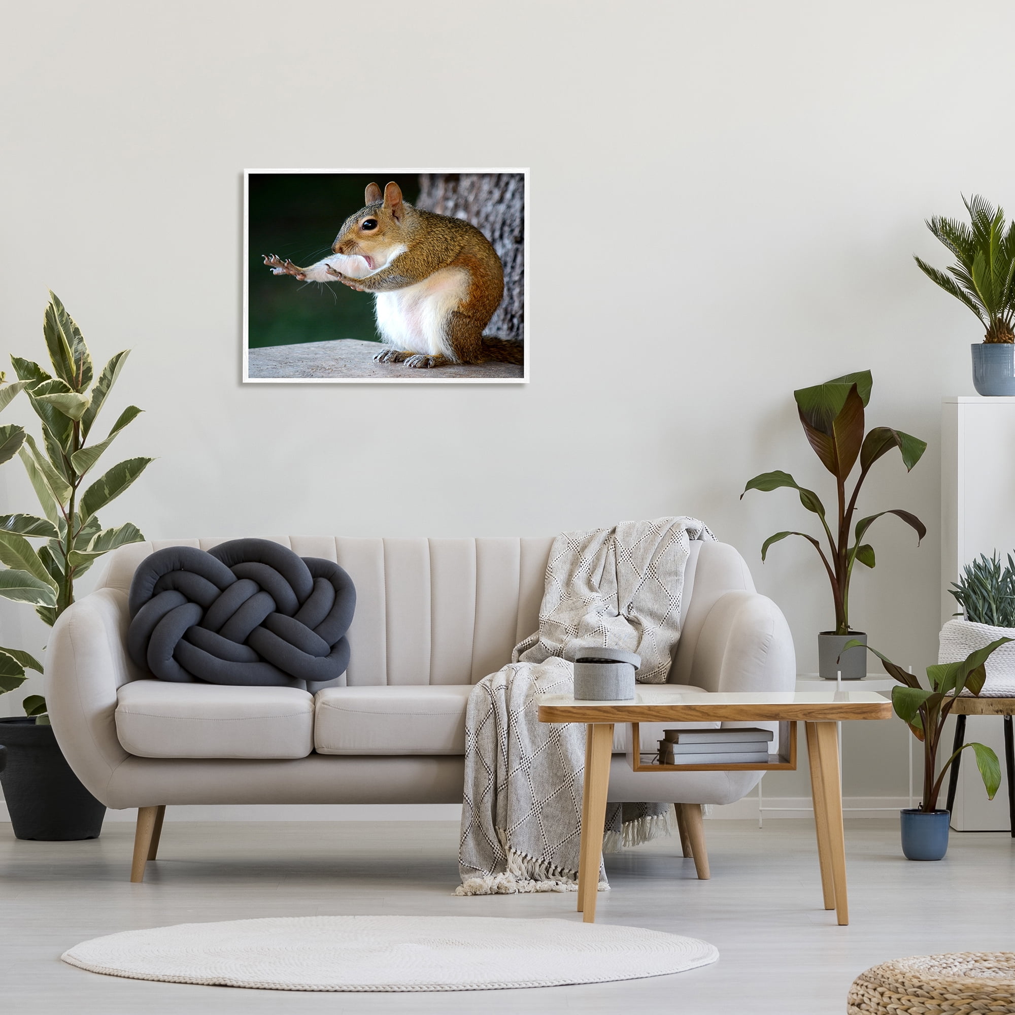 Stupell Industries Funny Shocked Pose Squirrel Animals & Insects Photography White Framed Art Print Wall Art, 30 x 24