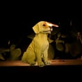 thumbnail image 4 of Solar-Powered Puppy Lawn Light, Outdoor Waterproof Garden Landscape Mood Light, Realistic Animal Resin Ornament for Yard Patio Pathway, 4 of 6