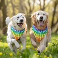 thumbnail image 3 of Dog Bandana 2 Pack,Colorful Rainbow Tie Dye Spiral Pattern Bandanas for Dogs,Cat Bandana,Small/ Large Dog Bandana 2 Size,Dog Bandanas, 3 of 6
