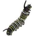 thumbnail image 3 of SHISUYAN Funny Caterpillar Plastic Twisty Worm Model Insect Figurine Education Model Toy, 3 of 9