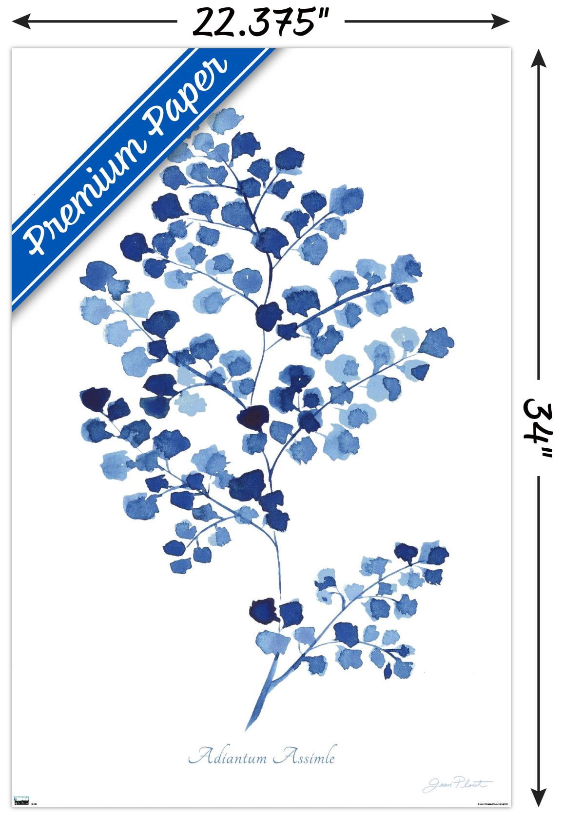 Jean Plout - Indigo Botanical Adiantum Assimle Wall Poster, 22.375" x 34"