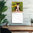 thumbnail image 5 of Chiots | 2026 12x24" (Hanging) Square Wall Calendar, 5 of 9